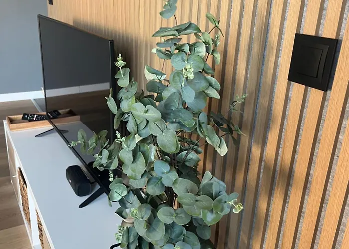 Al-dom Kniewskiego 11 Apartment