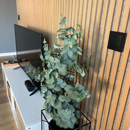 Al-dom Kniewskiego 11 Apartamento